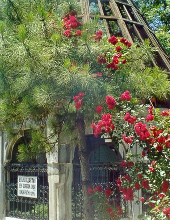 sadrk1.jpg (50534 bytes)