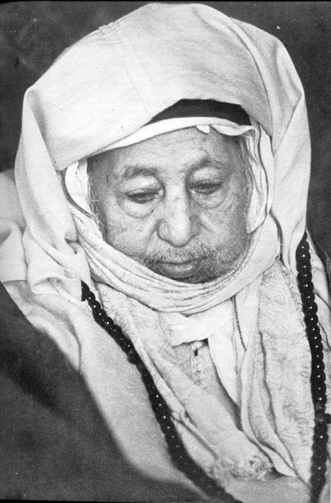 shabibalevi.jpg (103644 bytes)